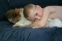 Random Pics..Your Z, other toys, kids, girlfriend, wife, your self....-boydog.jpg