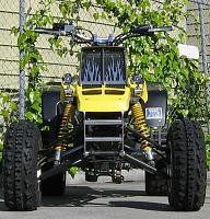Random Pics..Your Z, other toys, kids, girlfriend, wife, your self....-img_0210.jpg