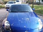 Random Pics..Your Z, other toys, kids, girlfriend, wife, your self....-pict0001.jpg