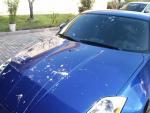 Random Pics..Your Z, other toys, kids, girlfriend, wife, your self....-pict0002.jpg
