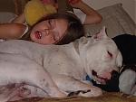 my "lil" house dog being lazy tonight...lol-duke-and-kids-002.jpg