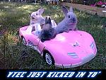 Anything in january-vtec.jpg