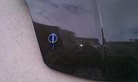 Seibon Carbon Fiber TS Hood-imag0472.jpg