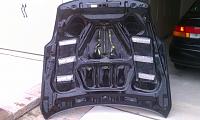 Seibon Carbon Fiber TS Hood-imag0477.jpg