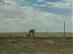 Finally here! Some pics of my journey!-east2west-004_4_1.jpg
