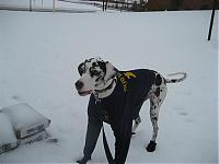 Possible snow tomorrow, are you ready?-snow-032-medium-.jpg