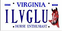 virginia vanity plate fun:-horse_plate.jpg