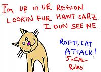 OH NOES! So Cal ATTAK!-roftlcat_socal.jpg