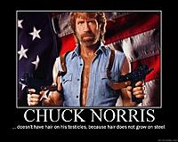 Chuck Norris or Jack Bauer from 24-chucknorrissteelballs.jpg