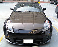 Polishing my hood?-0209091226.jpg