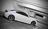 To mold or not to mold?-gt30g352.jpg