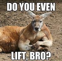 [NSFW] Mid-A Epic Random-ness: Third Encounter-do-you-even-lift-bro.jpeg