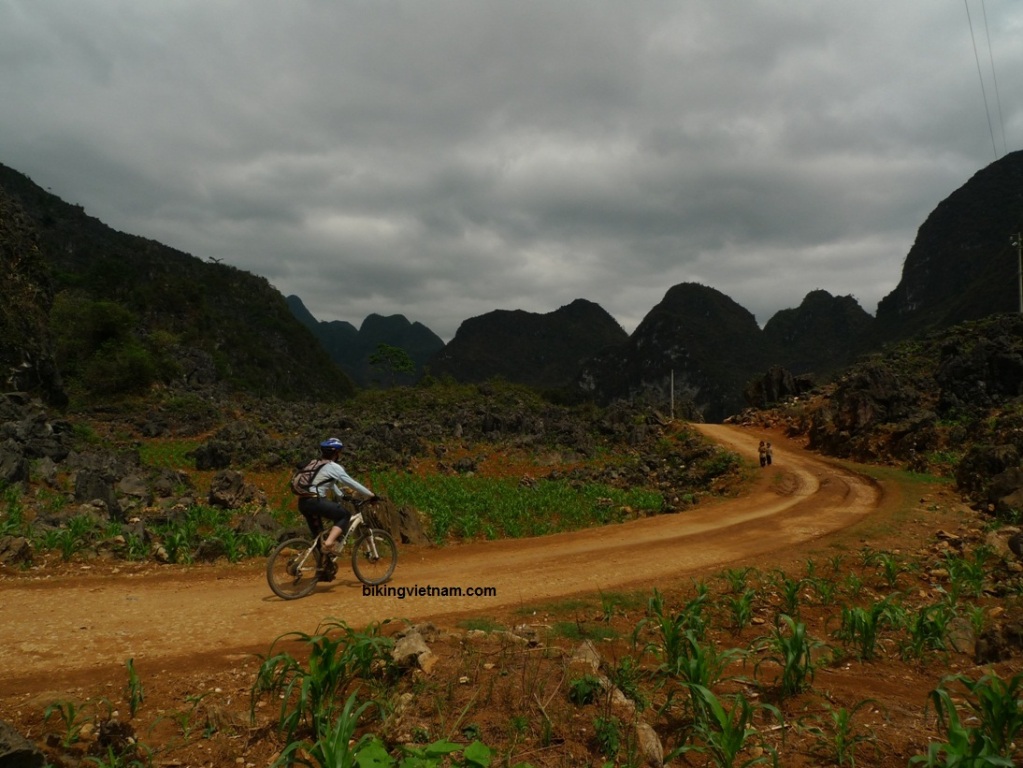 Name:  vietnam_mountain_bike00020.jpg
Views: 135
Size:  219.8 KB