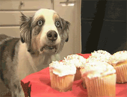 Name:  1255199285208.gif
Views: 18
Size:  2.83 MB