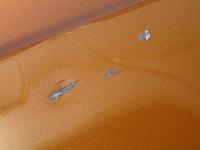 So much for Detail Day...Z falls victim to road debris :(-damage1-2-.jpg