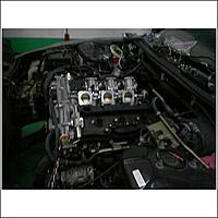 south Florida S14-3a.jpg