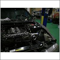 south Florida S14-7.jpg