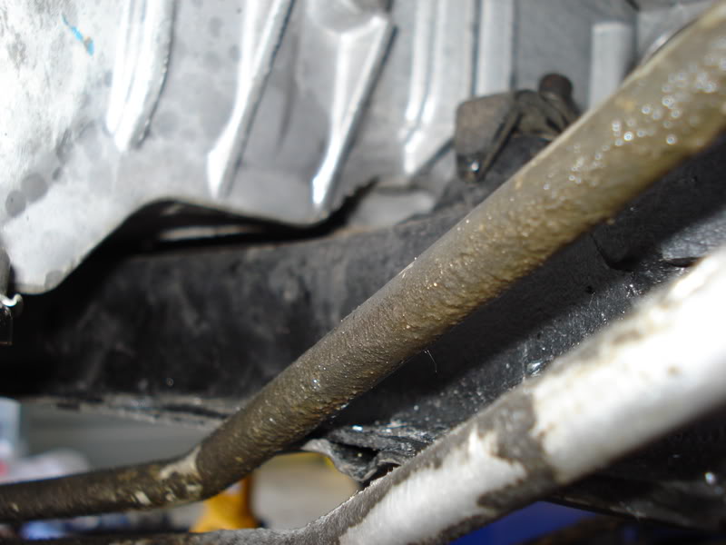 Name:  vqinstalled025.jpg
Views: 1357
Size:  55.6 KB