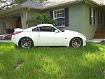 New owner in Tampa-lots-of-pics-067-large-.jpg