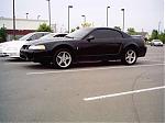 New Guy Saying Hi!-mustang-pic-for-350z-forum.jpg