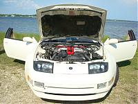 Newbie-dsc01130.jpg