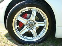 Newbie-dsc01122.jpg