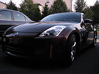 Saying Hello-img_0578.jpg