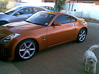 3.5 years and i got her-30052009-002-.jpg