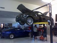 New girl, first time on a forum <3-0707001533.jpg