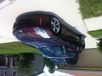 Newbie!-photo-4.jpg