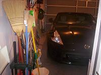 Green pea here...-101_7431.jpg