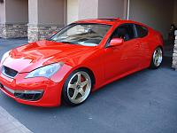 Phoenix noob-dsc01695.jpg