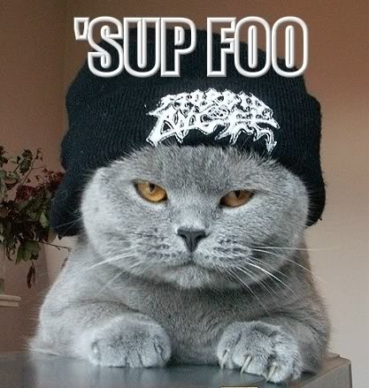 Name:  sup.jpg
Views: 60
Size:  48.9 KB
