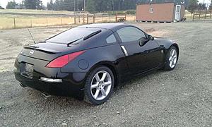 New Member of the Group-img_0687.jpg