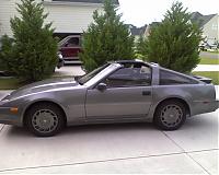 Z  Crazy-photo_081608_001.jpg