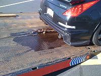 My Poor Baby :(-050.jpg