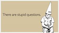 Nismo Wheel question-stupid-questions.jpg