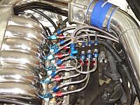 Direct port nitrous system installed with pics-dsc07404.jpg