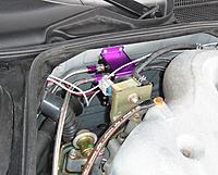 New Zex nitrous install w/pics-croppedbox.jpg