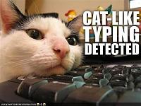 anybody got any coupon codes for sparkplugs.com-cat.funny-pictures-catlike-typing-is-detected.jpg