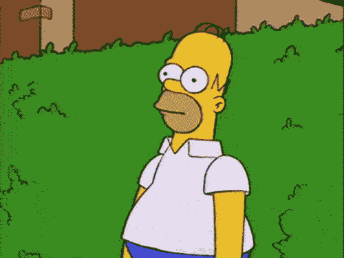 Name:  homer.gif
Views: 350
Size:  220.7 KB