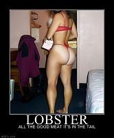 Official NolaZcc Thread-lobster.jpg