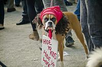 Official NolaZcc Thread-antoine-dodson-dog-antoine-dogson.jpg