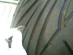 Bronze Volks TE37 19x9.5 +12 and 19x10.5 +12-u5zcfmf.jpg