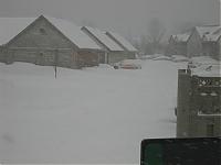 Stuck At Home!-img_1797-large-.jpg