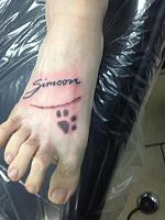 Minnesota Chat Thread-cat-tatt.jpg