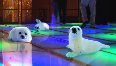 Name:  clubbin_baby_seals.jpg
Views: 19
Size:  28.4 KB