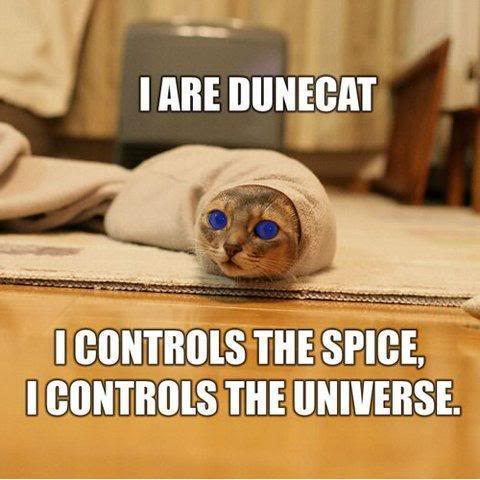 Name:  dune-cat.jpg
Views: 12
Size:  37.9 KB