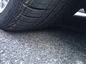 Volk SF Challenge and Project Kic R40 Lugs-akmgbuv.jpg