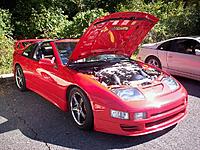 ECZA's Fall Meet 10/12/08-ecza5.jpg
